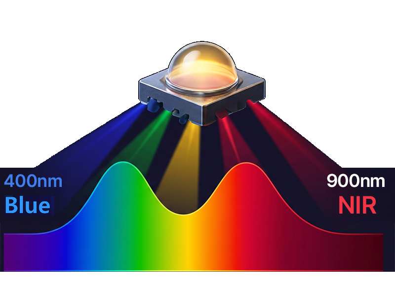 Spectrum Design